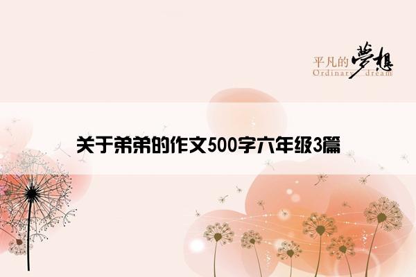 关于弟弟的作文500字六年级3篇