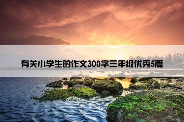 有关小学生的作文300字三年级优秀5篇