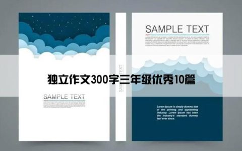 独立作文300字三年级优秀10篇