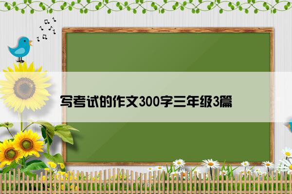 写考试的作文300字三年级3篇