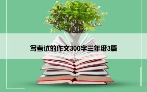 写考试的作文300字三年级3篇