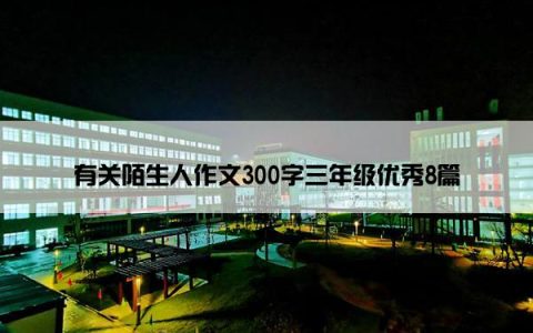 有关陌生人作文300字三年级优秀8篇