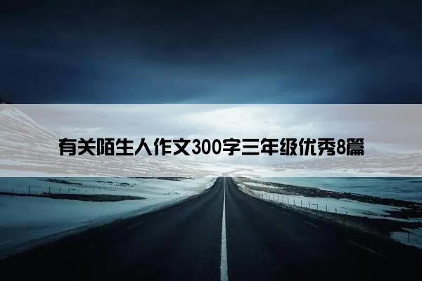 有关陌生人作文300字三年级优秀8篇