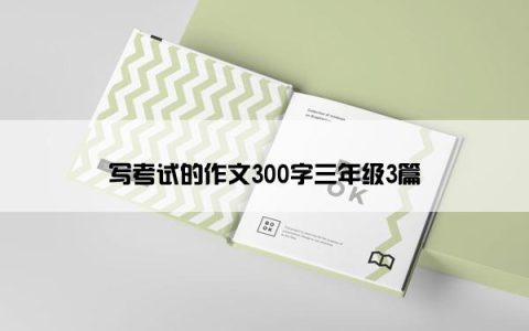 写考试的作文300字三年级3篇