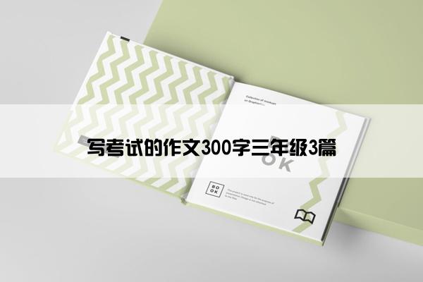 写考试的作文300字三年级3篇