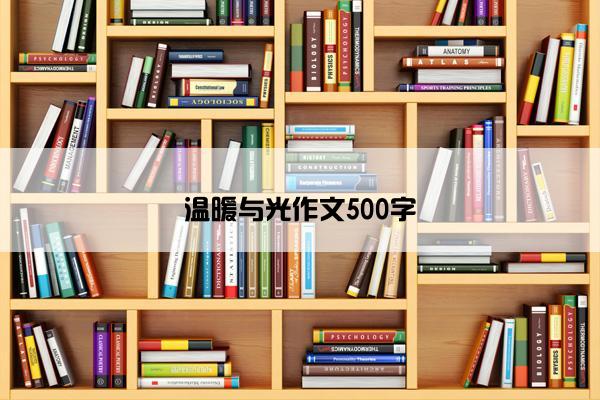 温暖与光作文500字