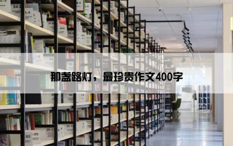 那盏路灯，最珍贵作文400字