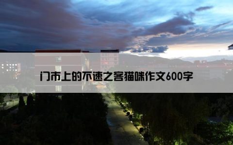 门市上的不速之客猫咪作文600字