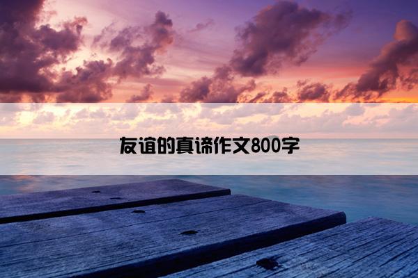 友谊的真谛作文800字