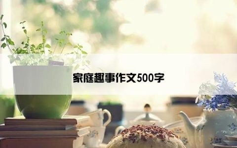 家庭趣事作文500字