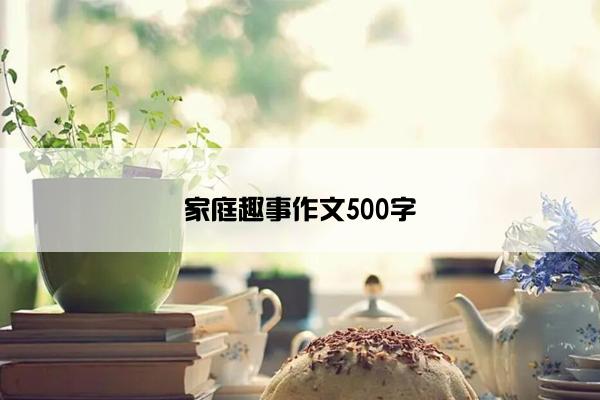 家庭趣事作文500字