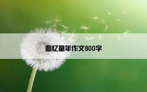 追忆童年作文800字