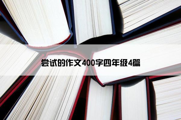 尝试的作文400字四年级4篇