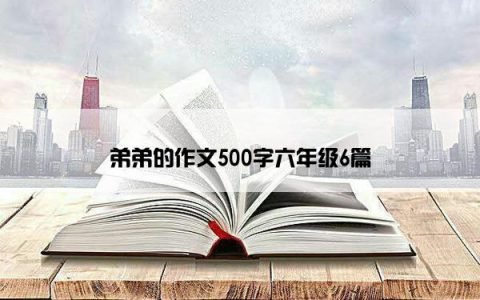 弟弟的作文500字六年级6篇