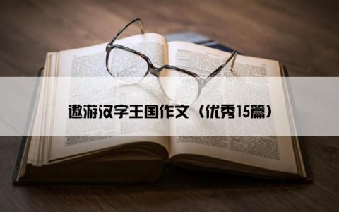 遨游汉字王国作文（优秀15篇）