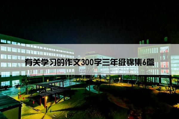 有关学习的作文300字三年级锦集6篇