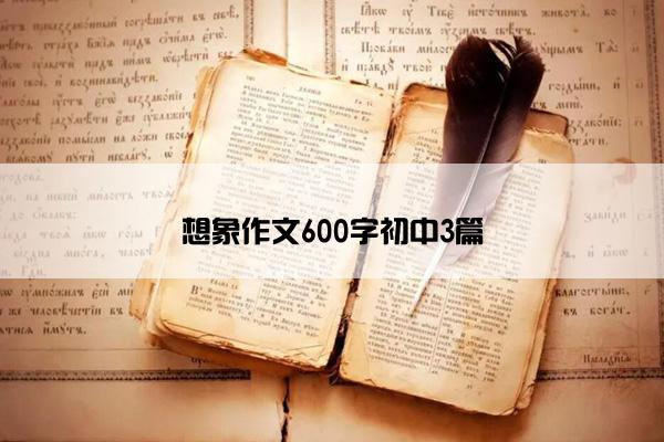 想象作文600字初中3篇