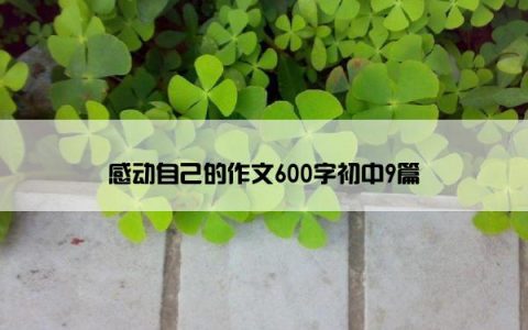 感动自己的作文600字初中9篇
