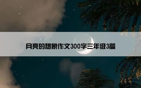 月亮的想象作文300字三年级3篇