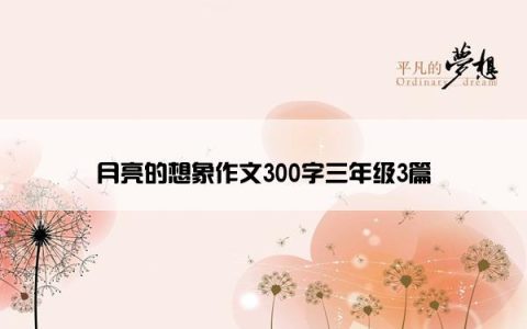 月亮的想象作文300字三年级3篇