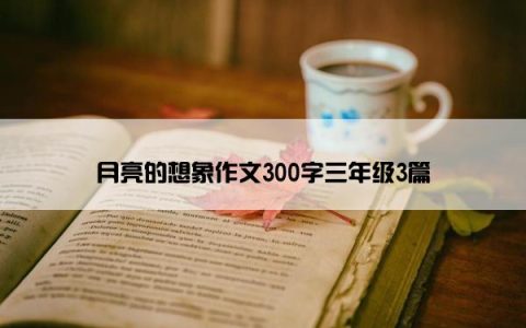 月亮的想象作文300字三年级3篇