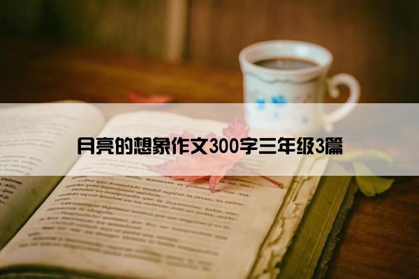 月亮的想象作文300字三年级3篇