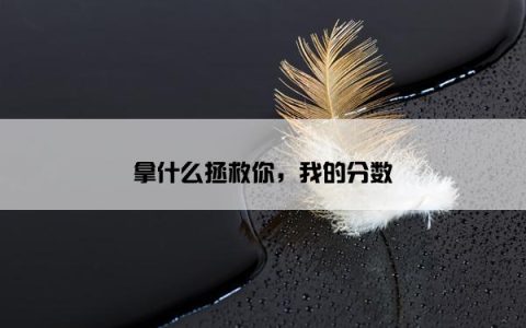 拿什么拯救你，我的分数