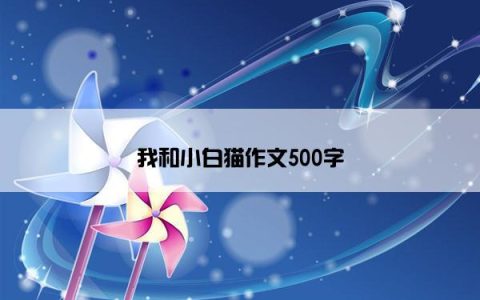 我和小白猫作文500字