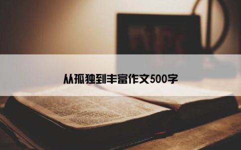 从孤独到丰富作文500字
