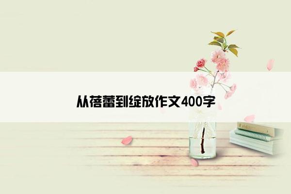 从蓓蕾到绽放作文400字