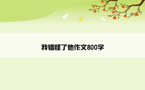 我错怪了他作文800字