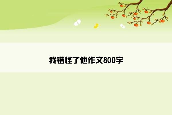 我错怪了他作文800字