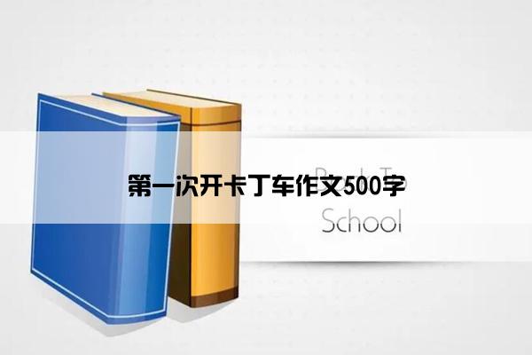 第一次开卡丁车作文500字