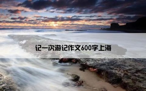 记一次游记作文600字上海