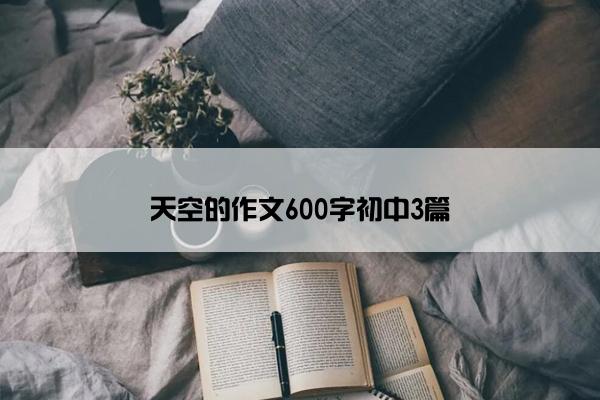 天空的作文600字初中3篇