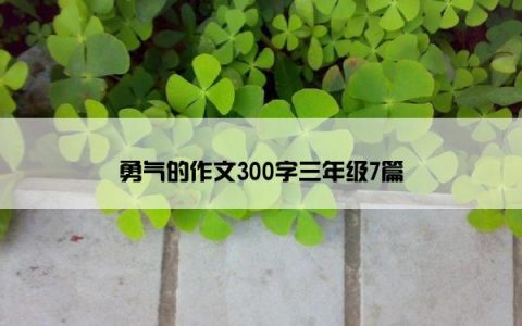 勇气的作文300字三年级7篇