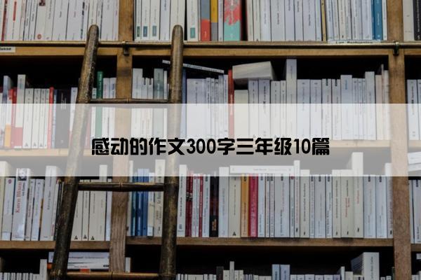 感动的作文300字三年级10篇