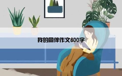我的同伴作文800字