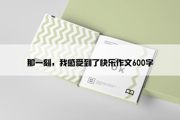 那一刻，我感受到了快乐作文600字