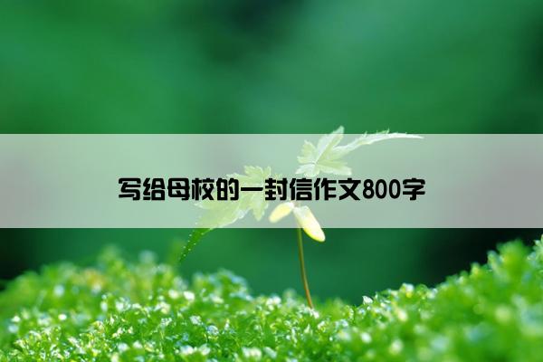 写给母校的一封信作文800字