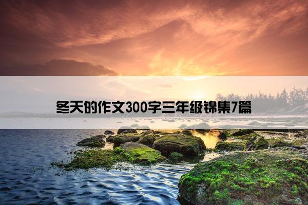 冬天的作文300字三年级锦集7篇