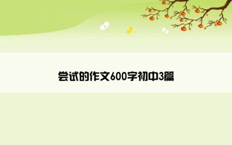 尝试的作文600字初中3篇