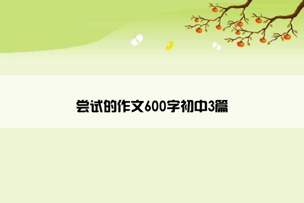 尝试的作文600字初中3篇