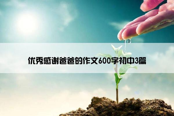 优秀感谢爸爸的作文600字初中3篇