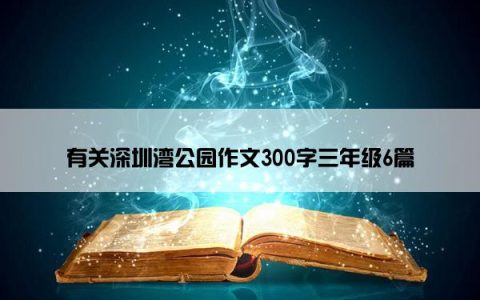 有关深圳湾公园作文300字三年级6篇