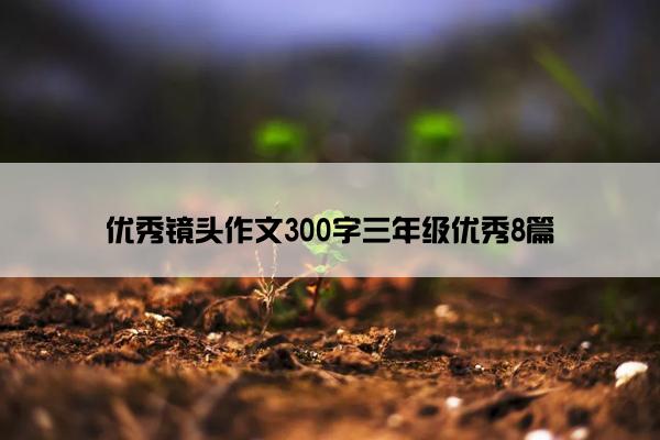 优秀镜头作文300字三年级优秀8篇