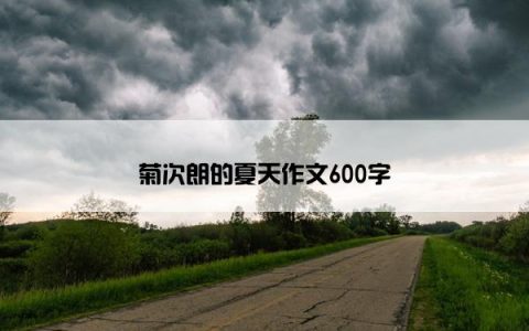 菊次朗的夏天作文600字