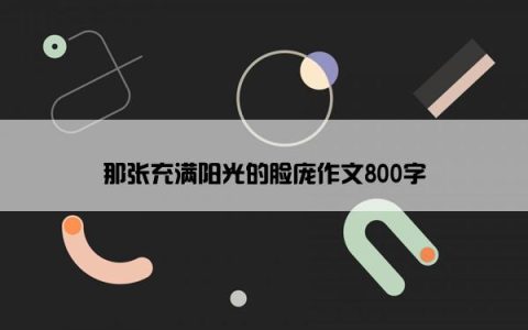 那张充满阳光的脸庞作文800字
