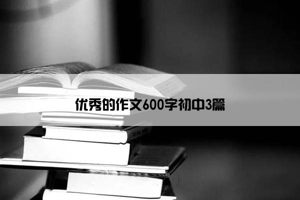 优秀的作文600字初中3篇