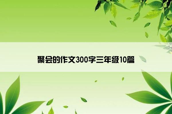 聚会的作文300字三年级10篇